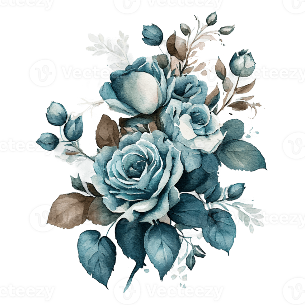 Watercolor floral bouquet composition with roses, png transparent background, .