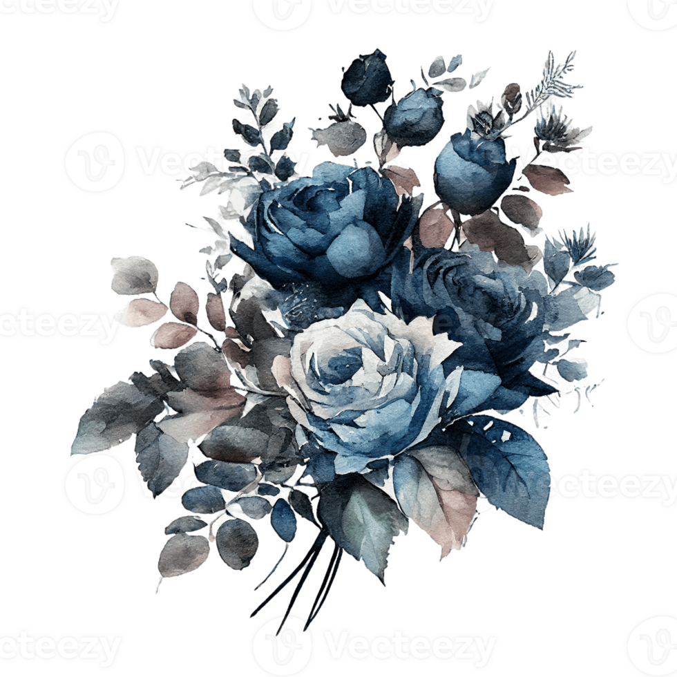 Watercolor floral bouquet composition with roses, png transparent background, .