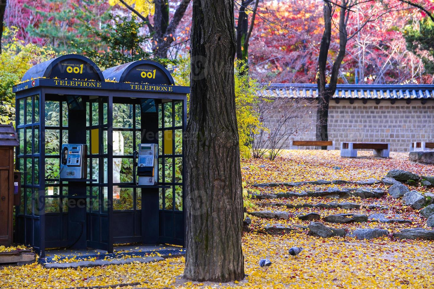 The telephone booth in the flower garden in Autumn photo