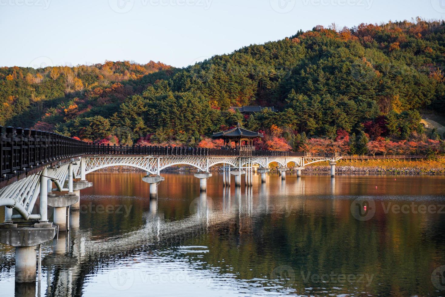Wolyeonggyo bridge, Wooden bridge at Andong, South Korea. photo