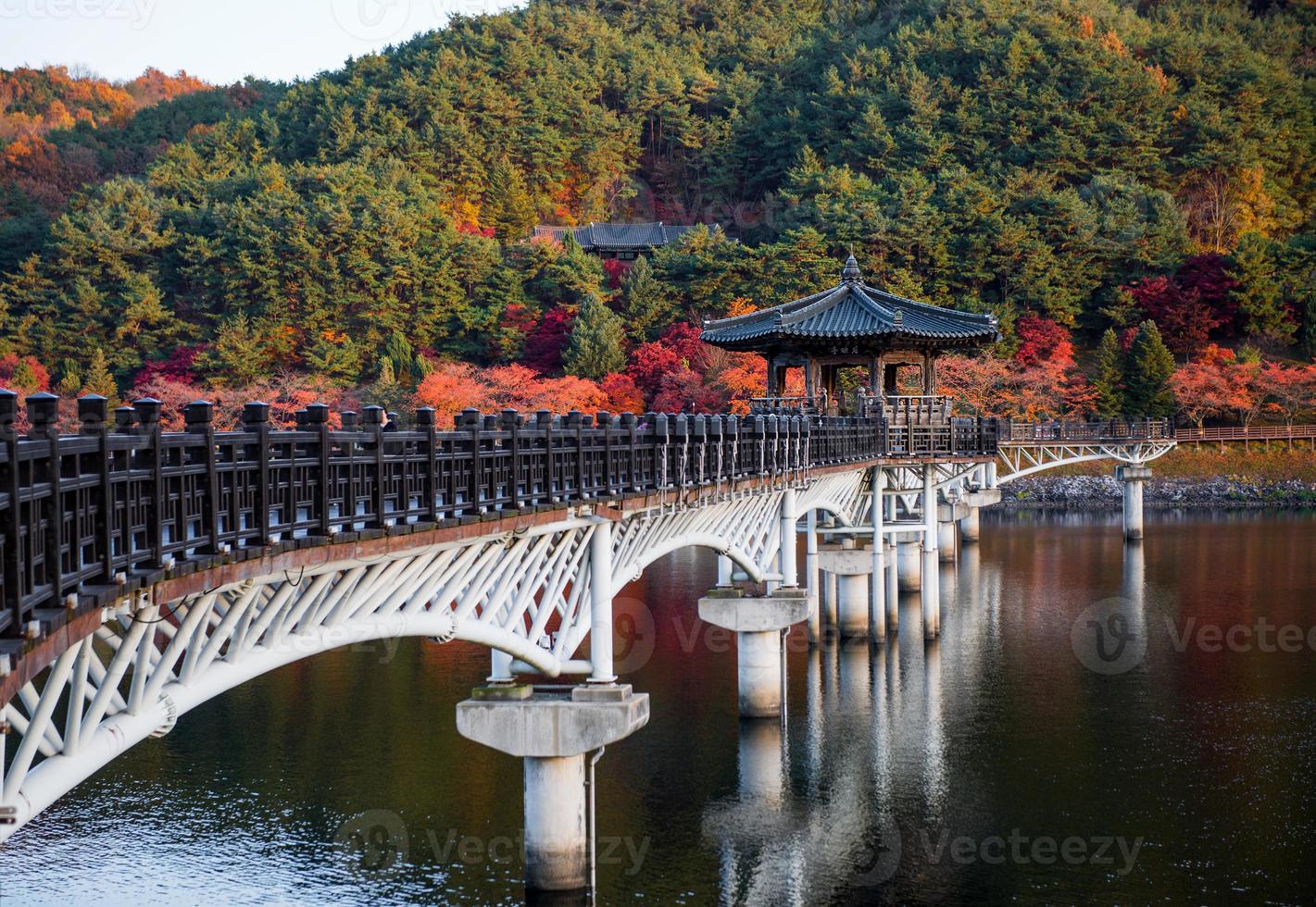 Wolyeonggyo bridge, Wooden bridge at Andong, South Korea. photo