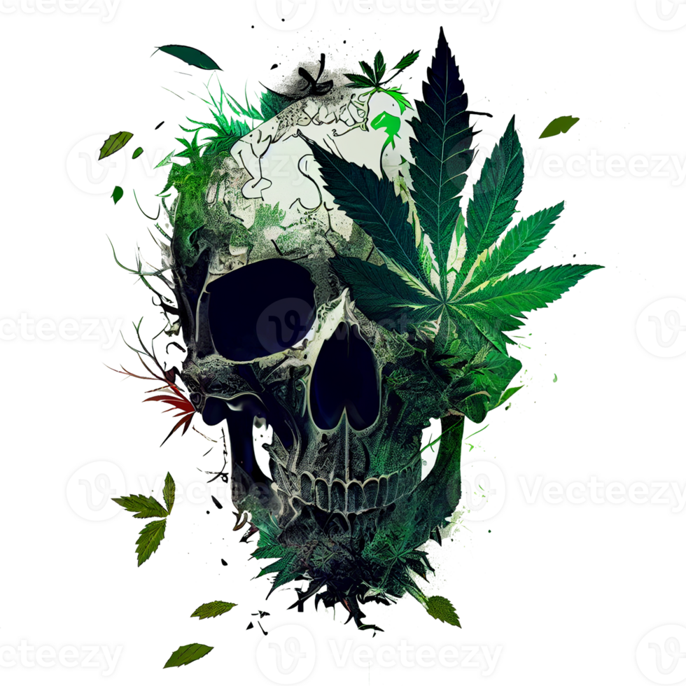 Skull head with cannabis leaves, Green skull. Evil skeleton head, Marijuana skul, . png