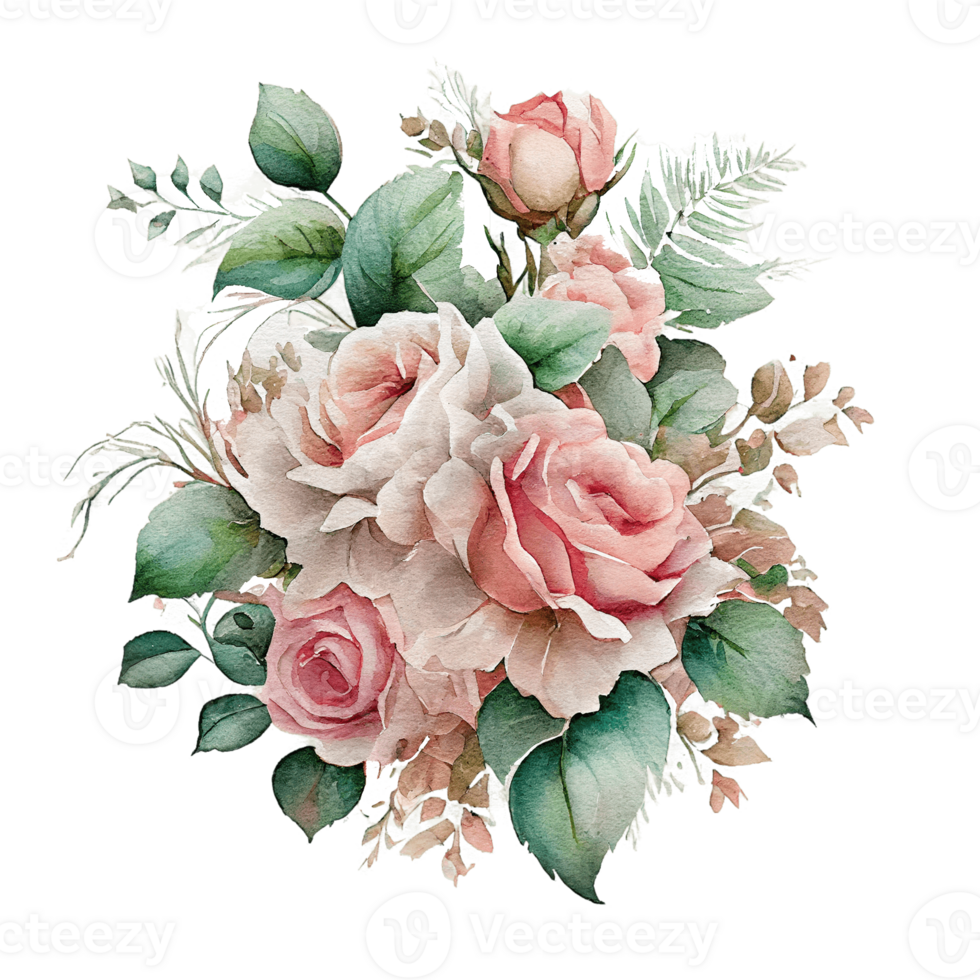 Watercolor floral bouquet composition with roses, png transparent background, .