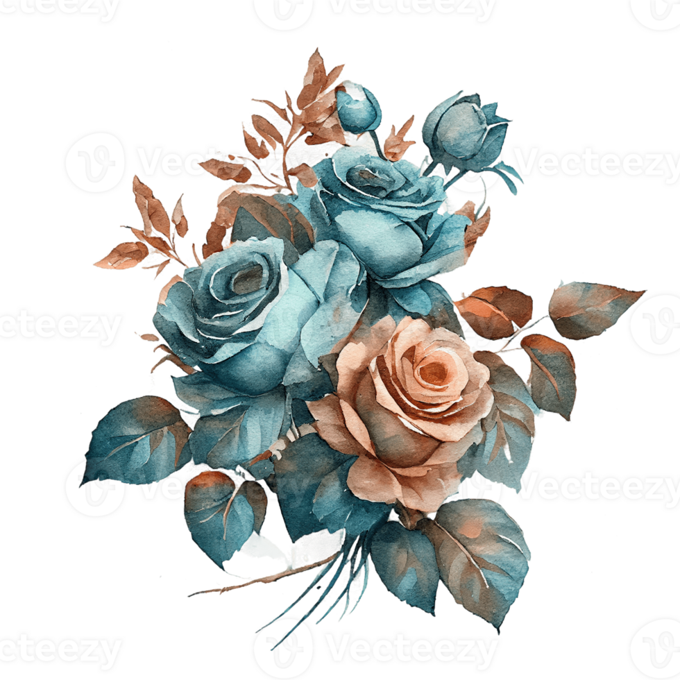 Watercolor floral bouquet composition with roses, png transparent background, .