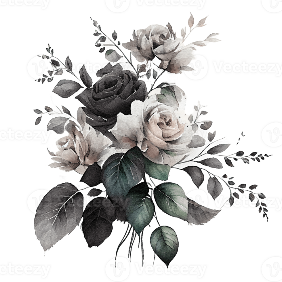 Watercolor floral bouquet composition with roses, png transparent background, .