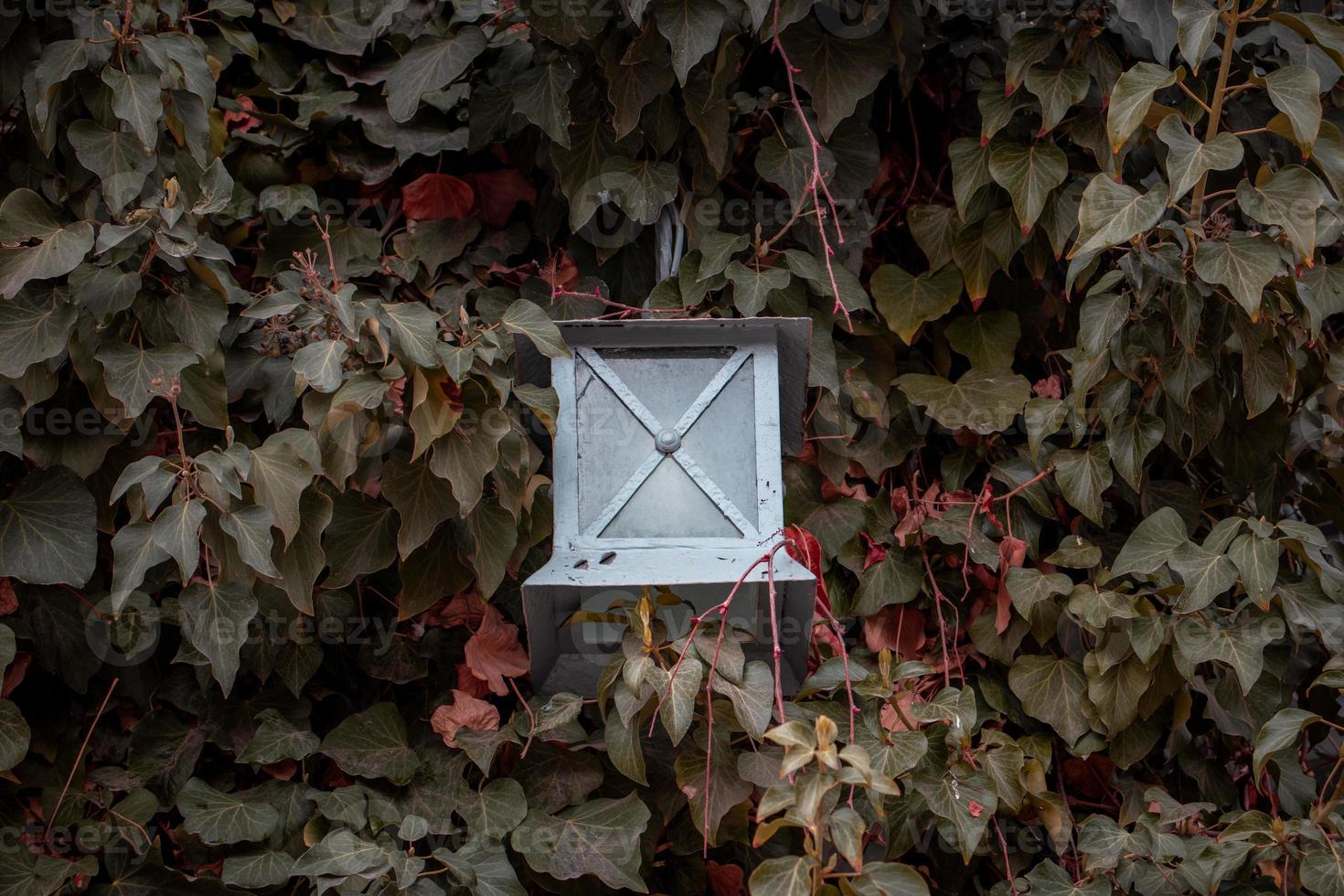 cobertura cerca con linterna fuera de de edificio fachada. pared cubierto con hiedra planta. frente ver fotografía con otoño antecedentes. foto