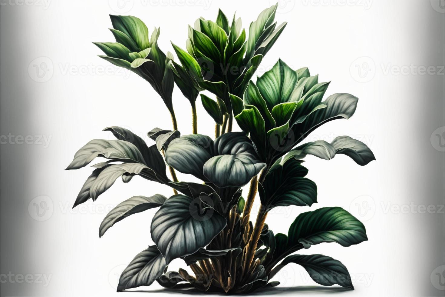 Green plant painting on white background. AI digital illustration photo