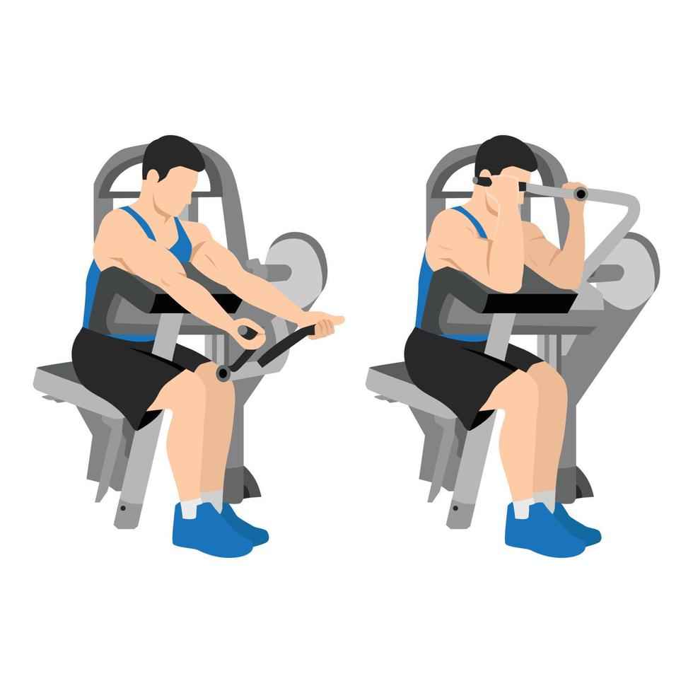 Man doing machine bicep preacher or concentration curls, arm biceps exercise. isolated on white background and layers. Workout character vector