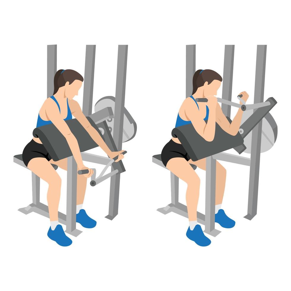 Woman doing Hammer strength machine. Seated chest press exercise. Flat  vector illustration isolated on white background. Workout character  27211901 Vector Art at Vecteezy