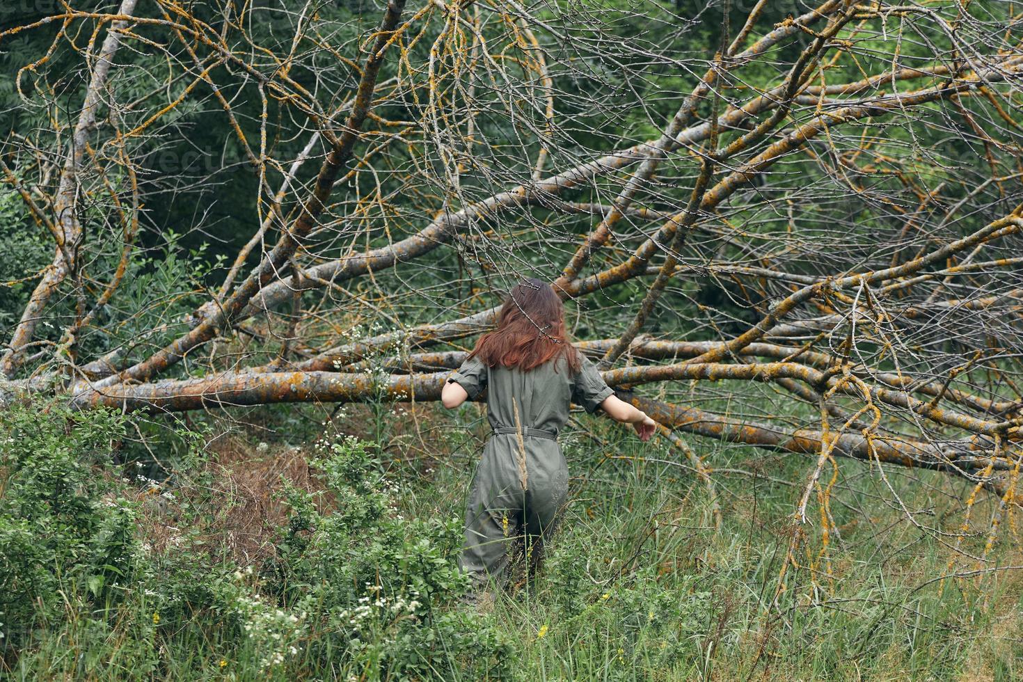 woman near broken tree in green overalls photo