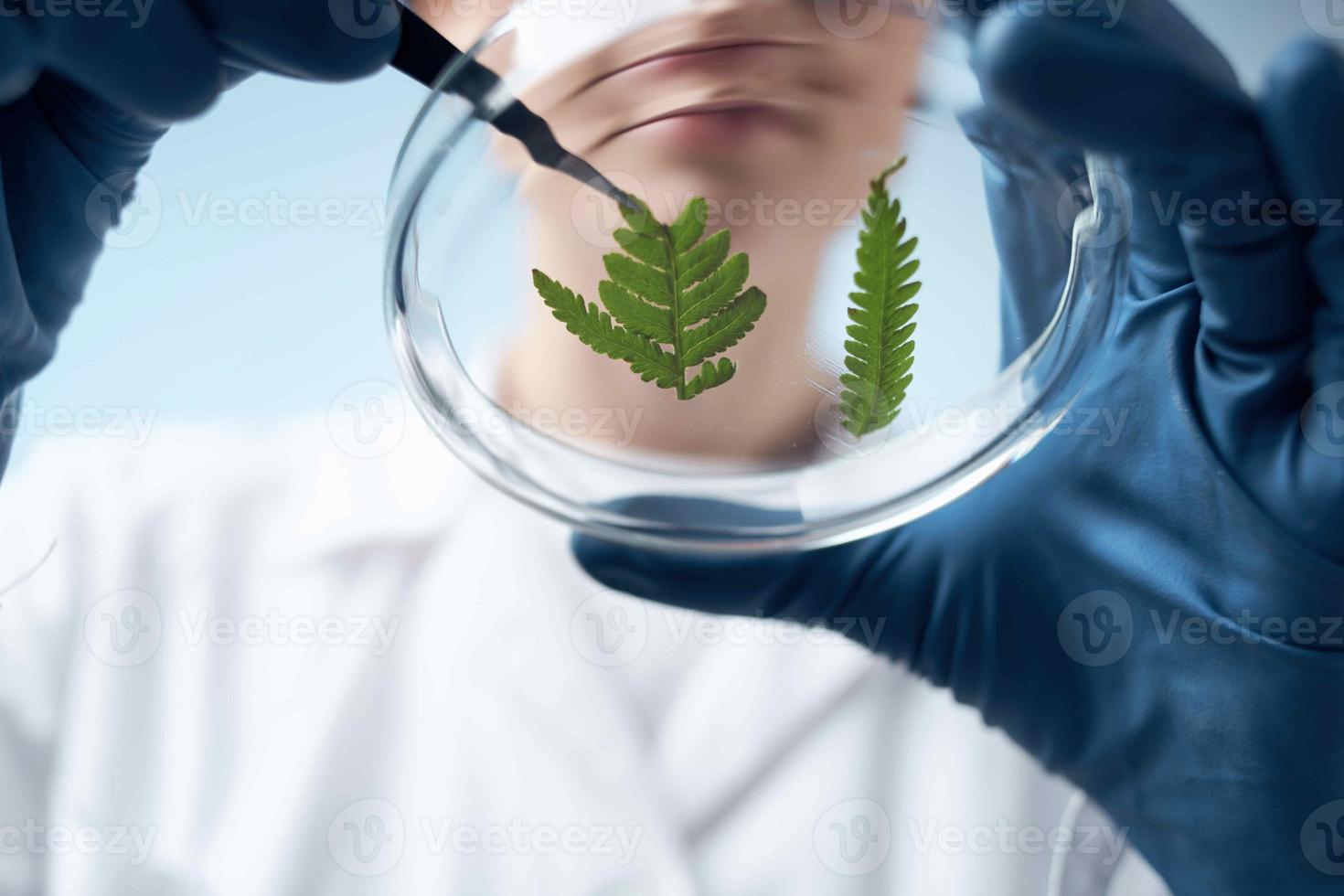 female scientist laboratory research Science and technology analysis photo