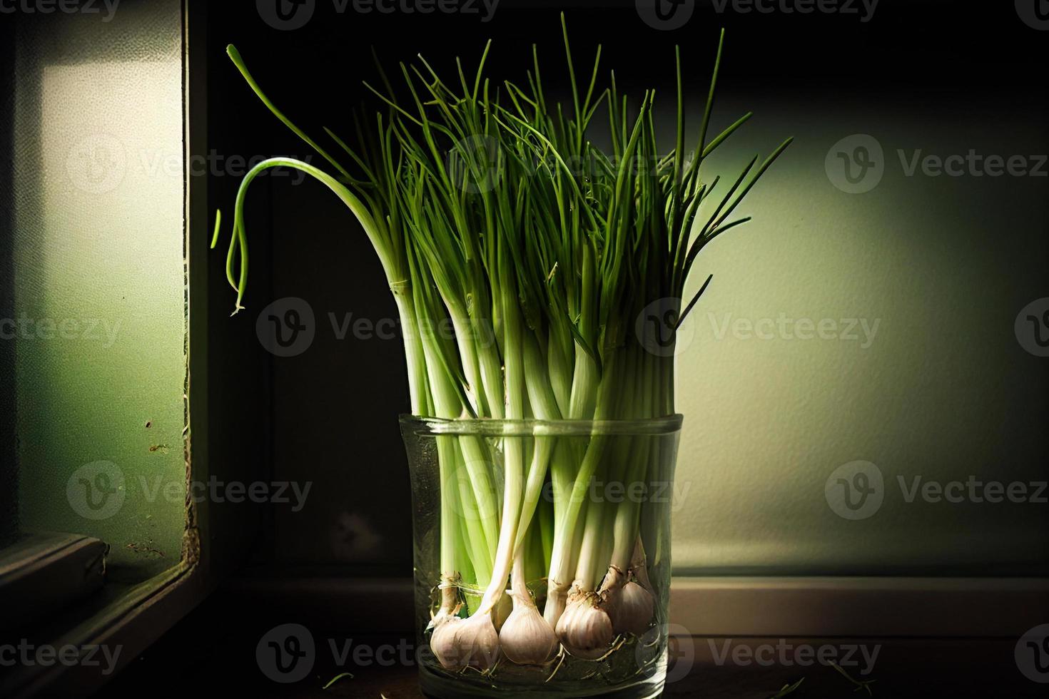 green onions are placed in jar with water in bunches. seedlings. whole feathers and trimmed. vegetable garden on the window. in style sketch. farm vegetables. sprouting onions AI photo