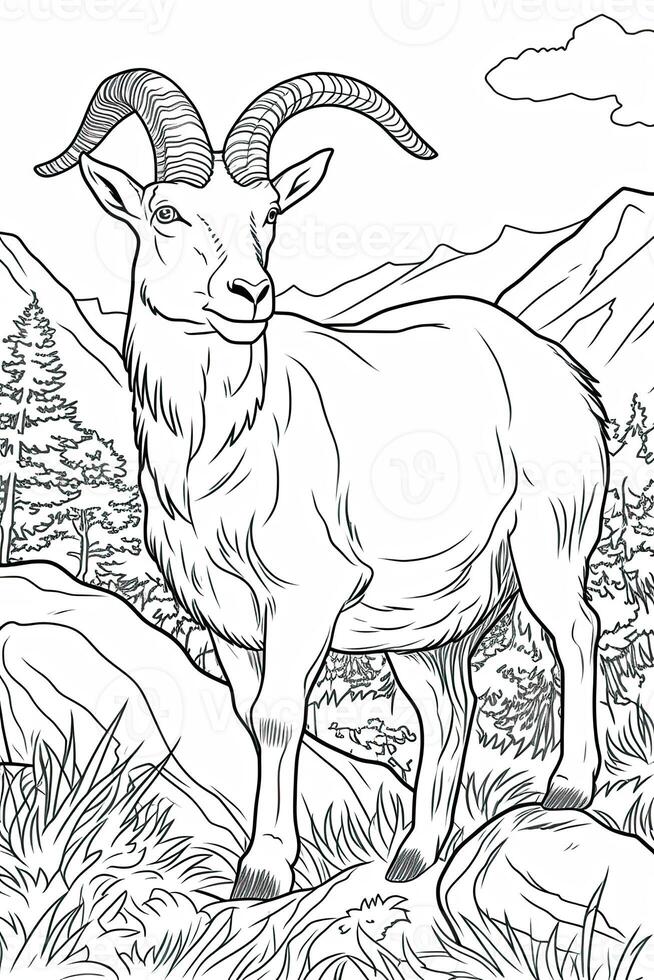 Cute deer coloring page for kids. Black and white. photo