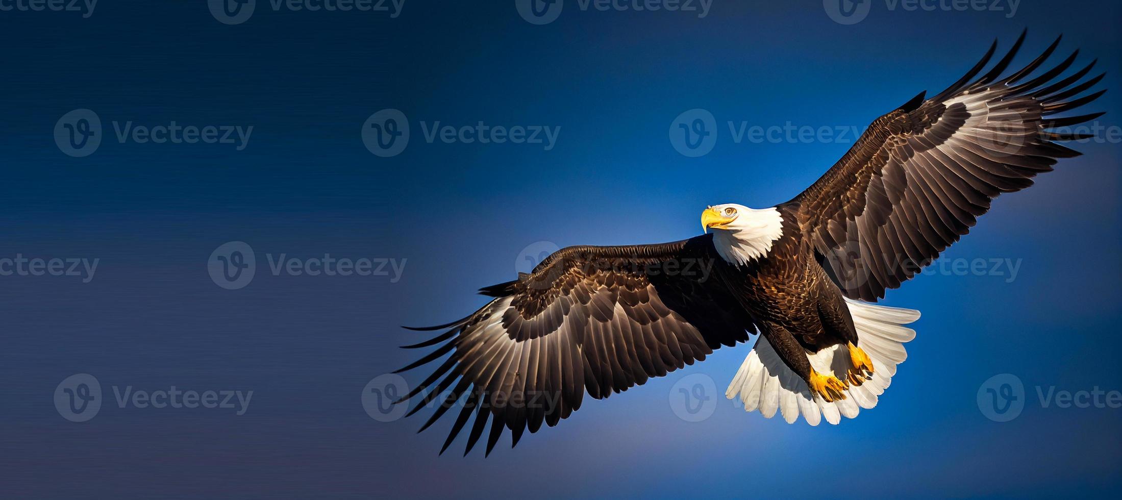 The flying eagle on blue background AI photo