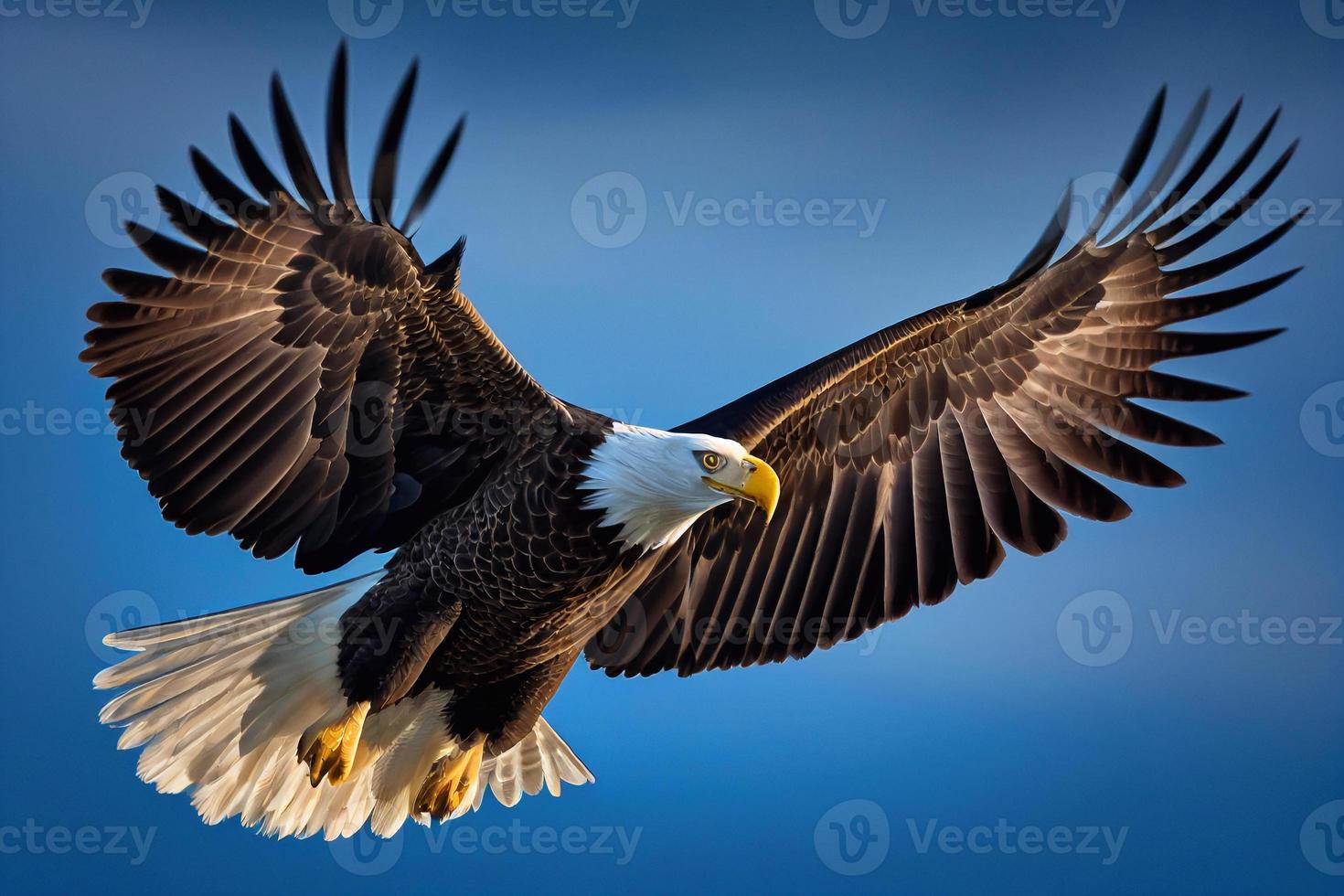 The flying eagle on blue background. Eagle logo template AI photo