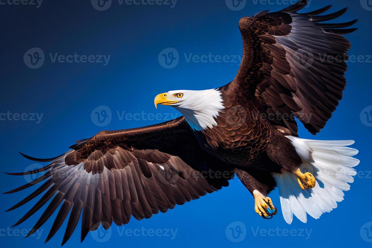 The flying eagle on blue background. Eagle logo template AI photo