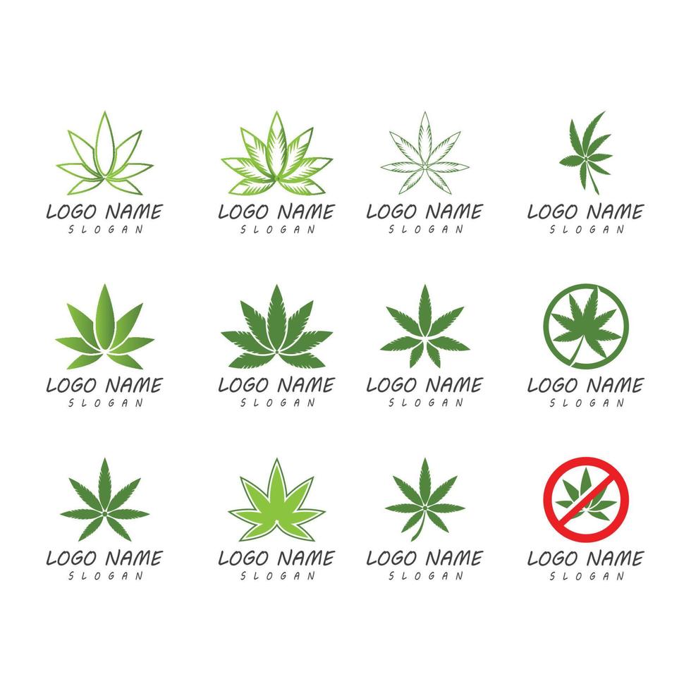 Canabis leaf logo vector illustration design