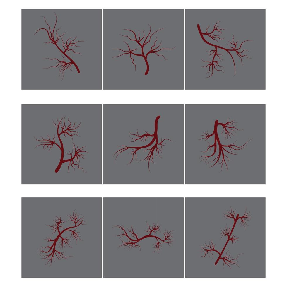 Veins Logo Template vector symbol medical design