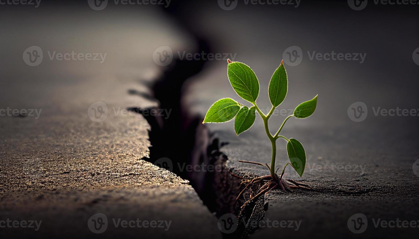 Young plant sprout broke through soil. New life allegory AI photo