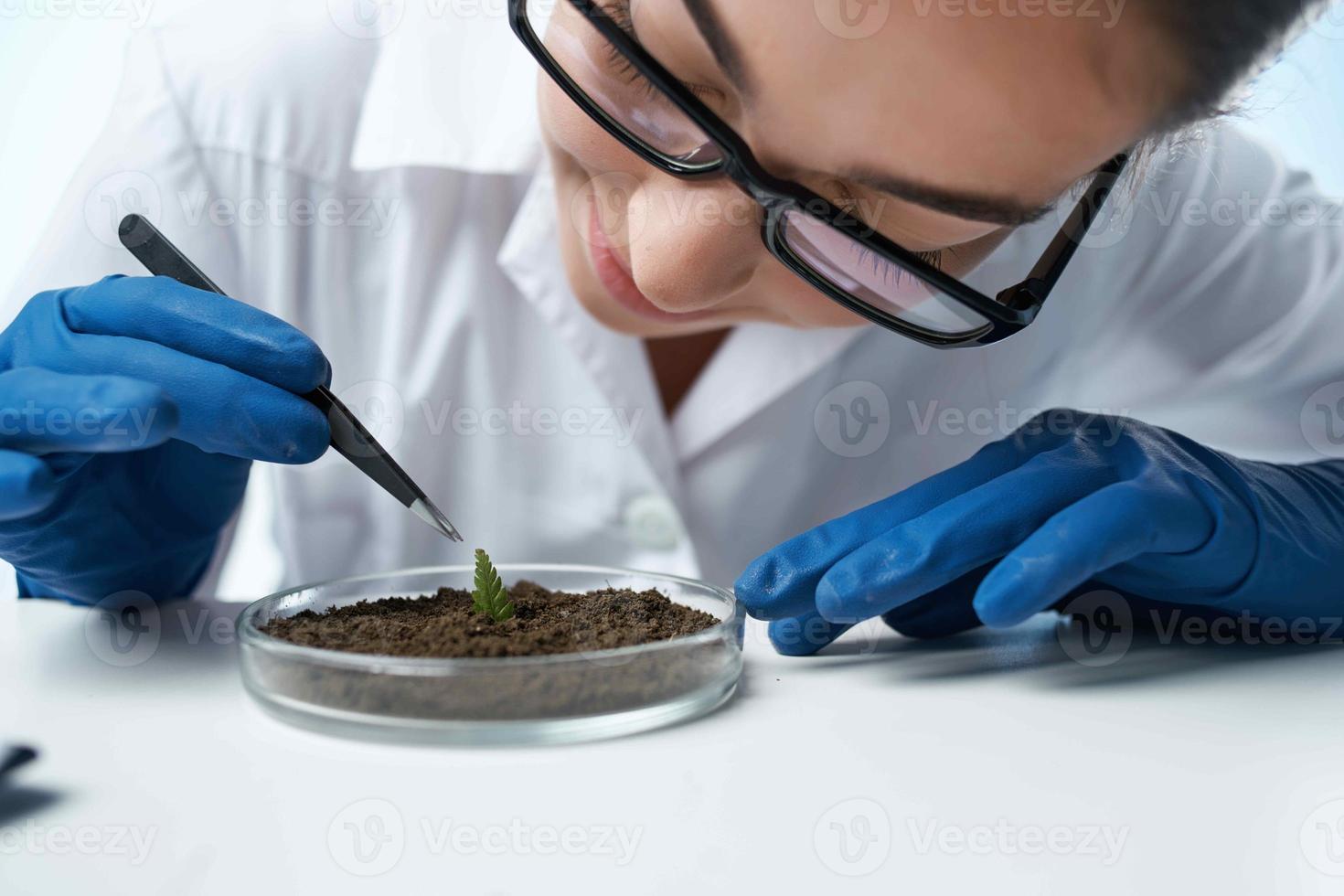female laboratory assistant biologist soil research biotechnology photo