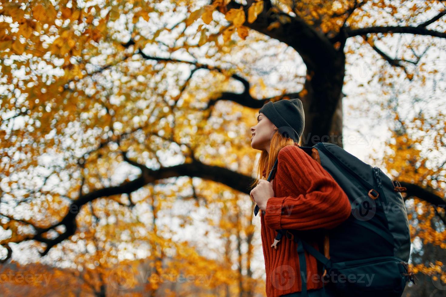 hermosa mujer en un rojo suéter con un mochila en su espalda cerca un alto árbol en otoño caído hojas foto