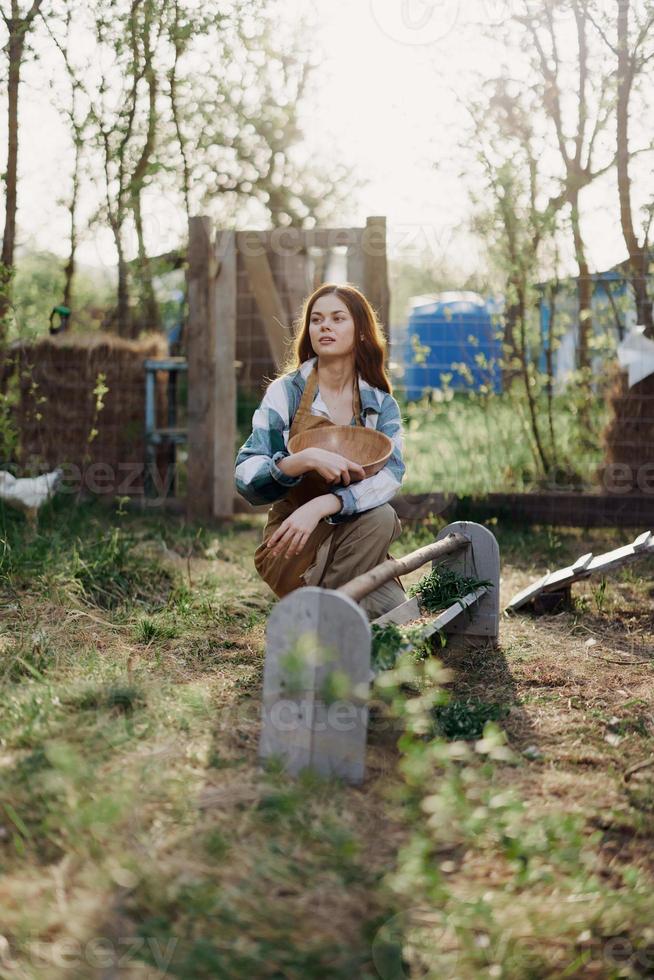 A woman pours organic feed into a chicken feeder at a farm in a plaid shirt, pants, and apron on a sunny summer evening sunset photo