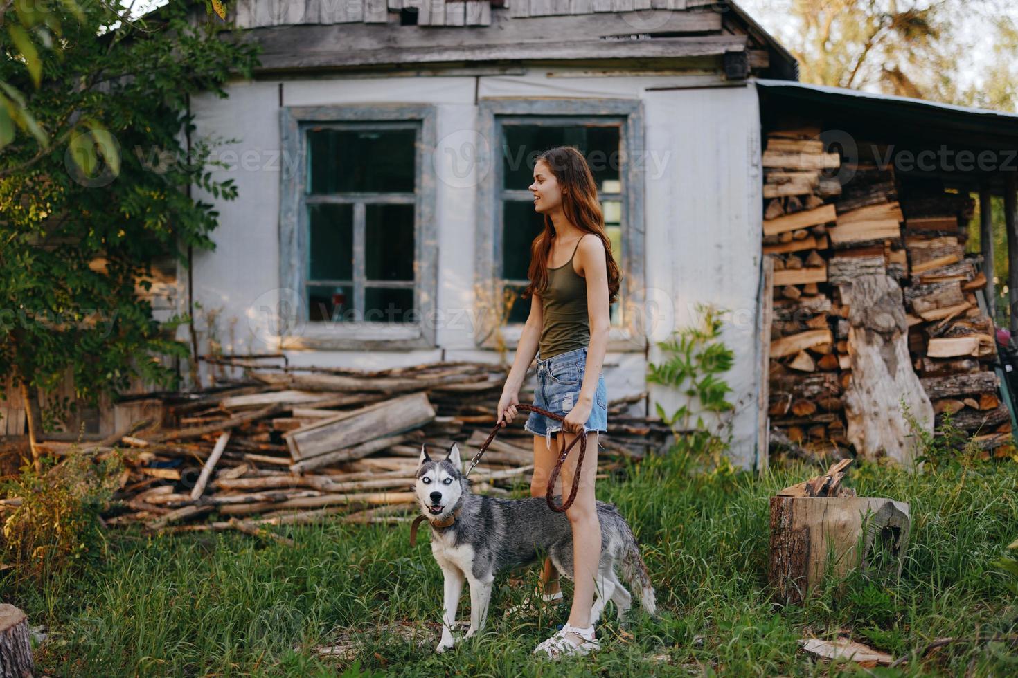 Woman and her husky dog happily playing outdoors in the park among the trees smile with teeth in the autumn walk with her pet photo