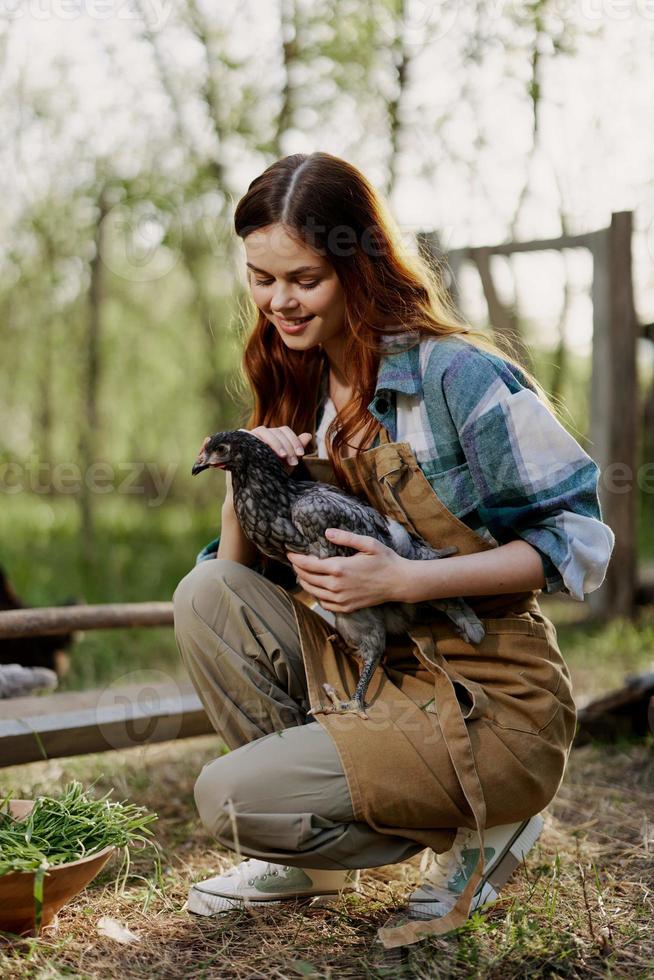 A woman with a smile takes care of the health of a chicken and holds a chicken in her hands while working on a farm in nature feeding the birds organic food photo