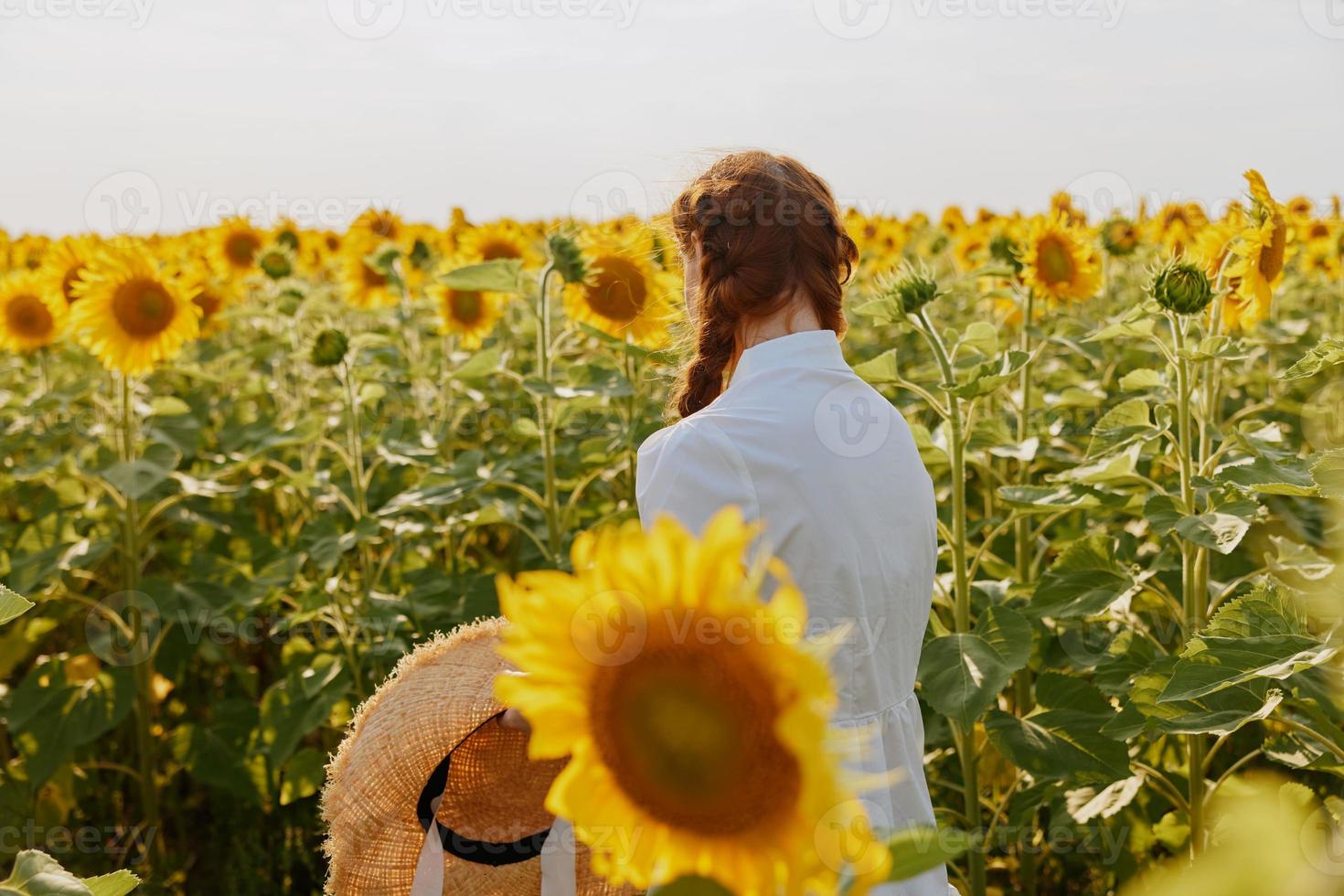 Woman in white dress with pigtails in a field of sunflowers nature countryside photo
