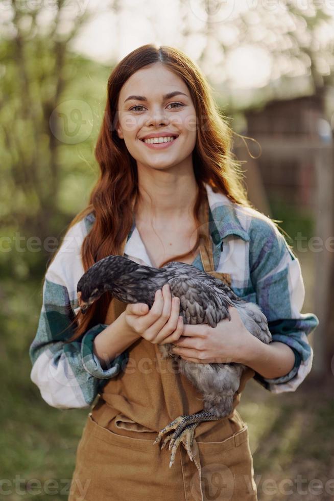 A happy young woman smiling and holding a young chicken that lays eggs for her farm photo