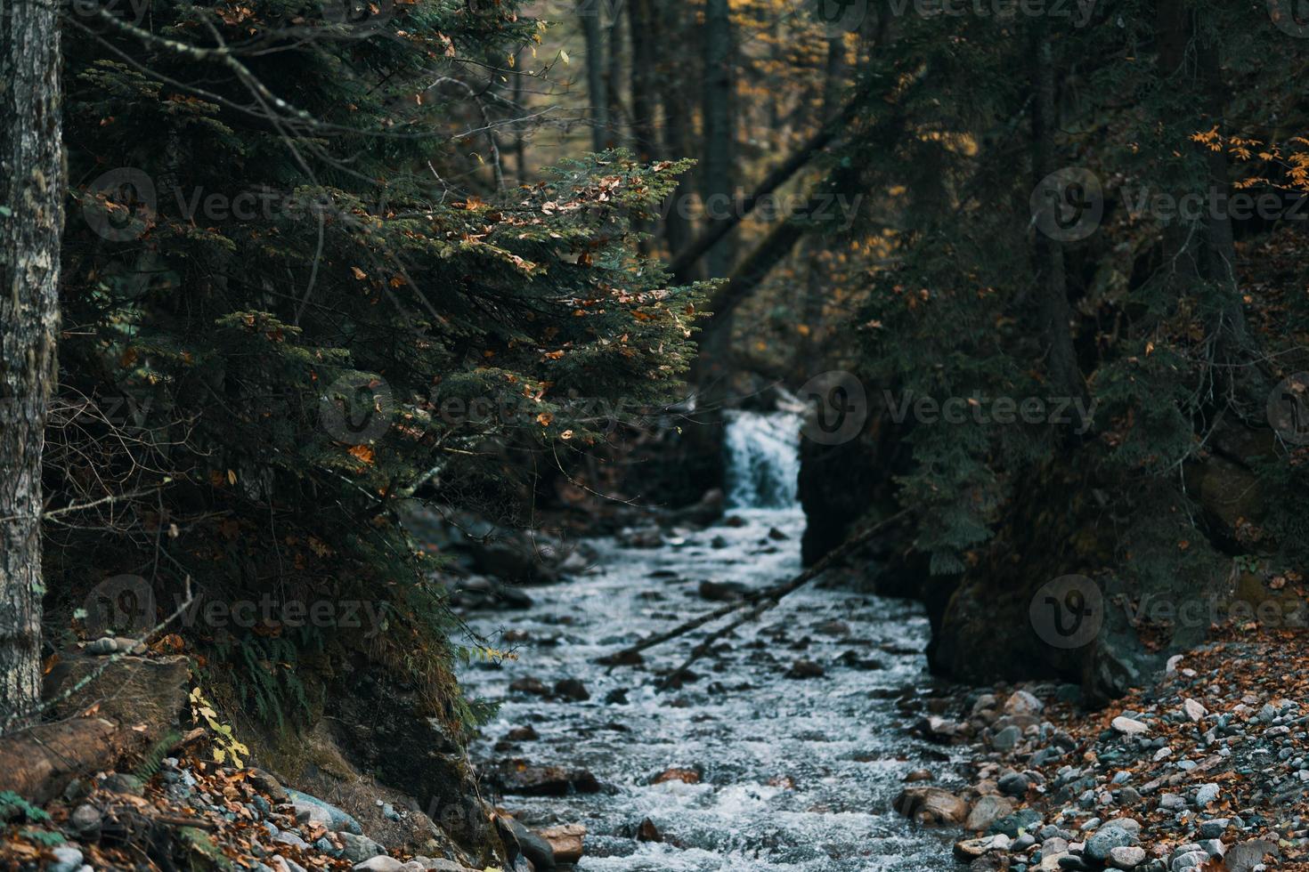 río fluye Entre el bancos en el bosque y viaje modelo turismo foto