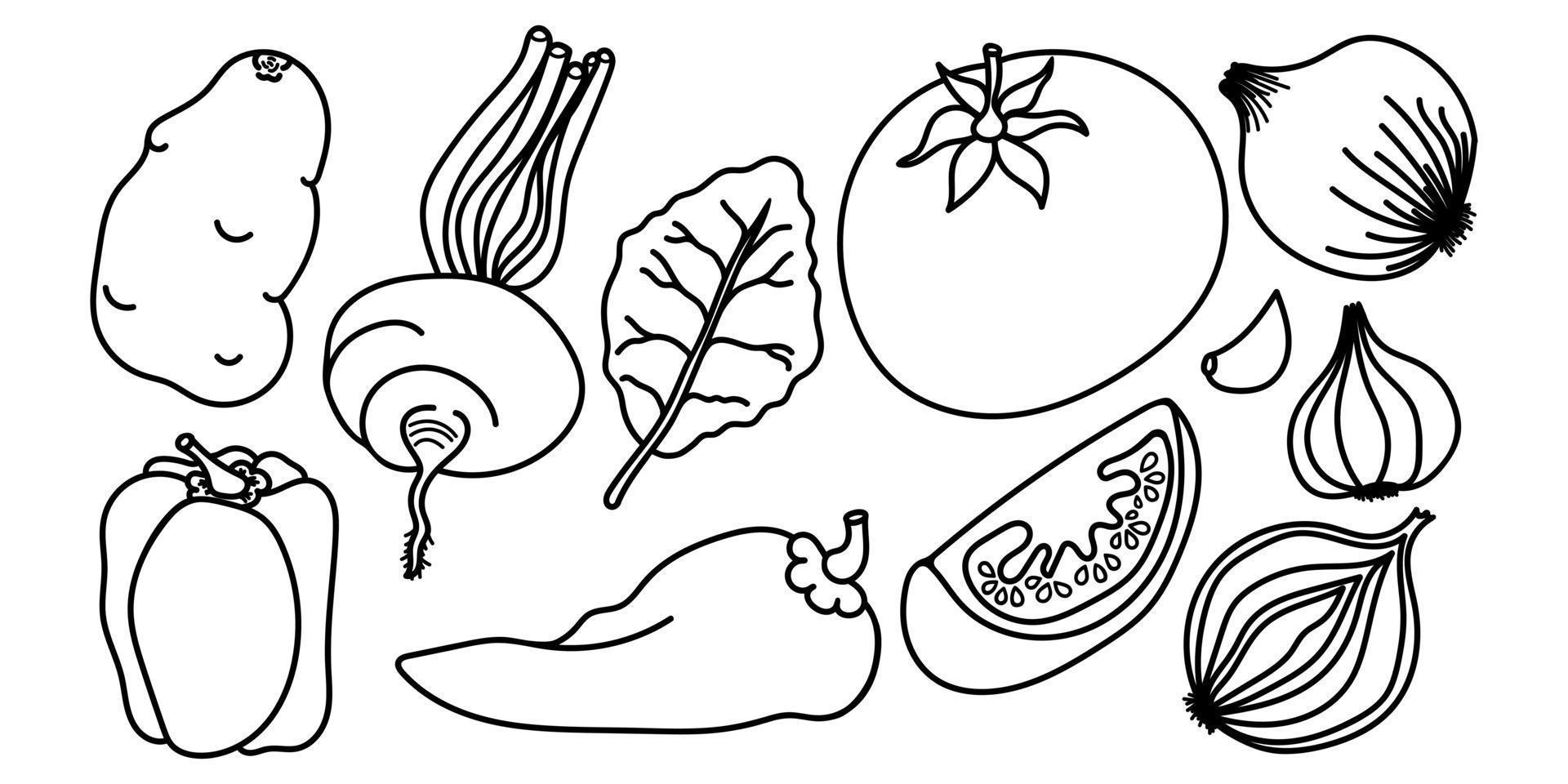 Collection of hand drawn vegetable outlines that can be colored. Fun and engaging coloring book for children. Different vegetable shapes and sizes. Set is for encouraging creativity and learning. vector