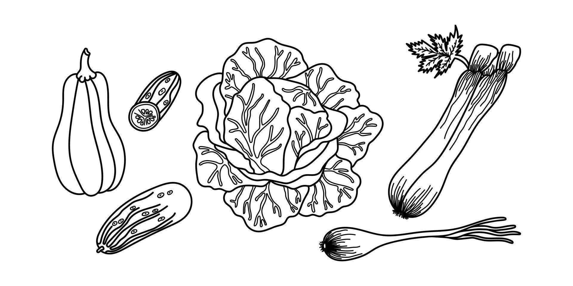 Hand drawn vegetables in black outline. Ideal for coloring pages in children's books. Rustic and simple style of the vegetables. Set of vector icons.