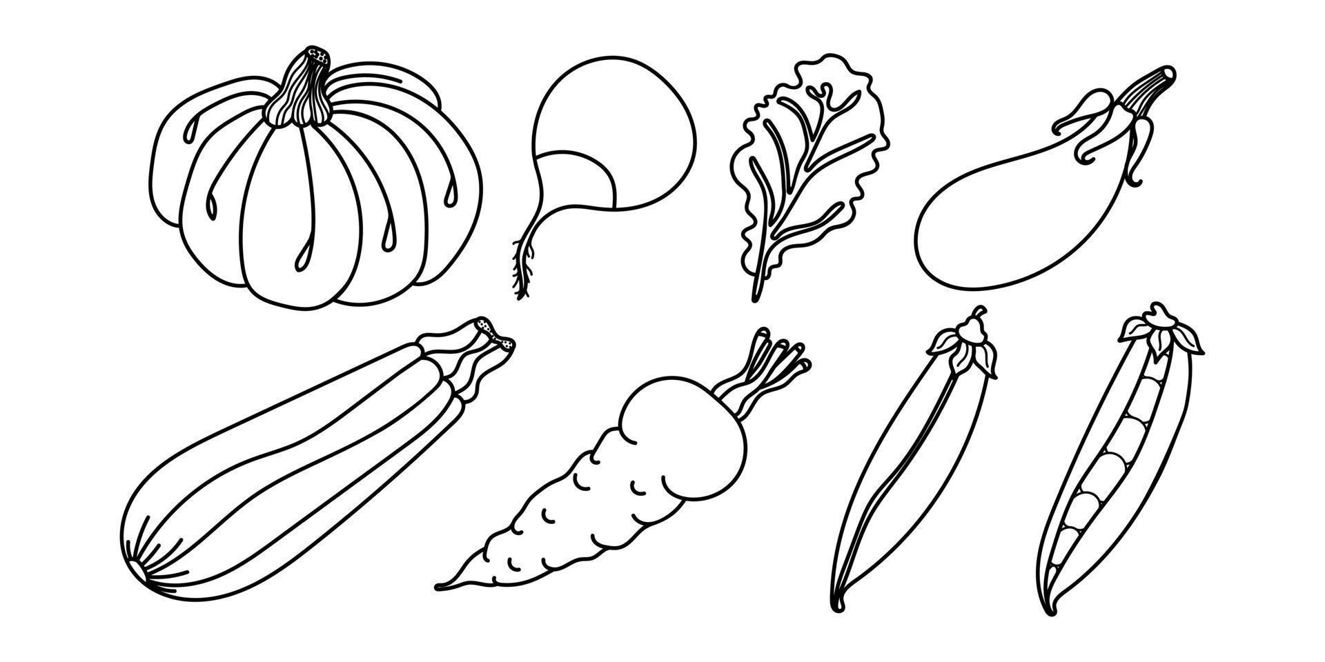 Hand drawn vegetables. Set of icons, hand drawn vegetables. Pumpkin, carrot, pea pod, zucchini squash, leaf, eggplant, radish. For coloring page in children book. Black and white. Vector illustration.