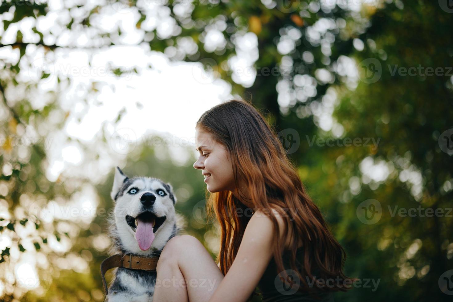 A woman with a husky breed dog smiles and affectionately strokes her beloved dog while walking in nature in the park in autumn against the backdrop of sunset photo