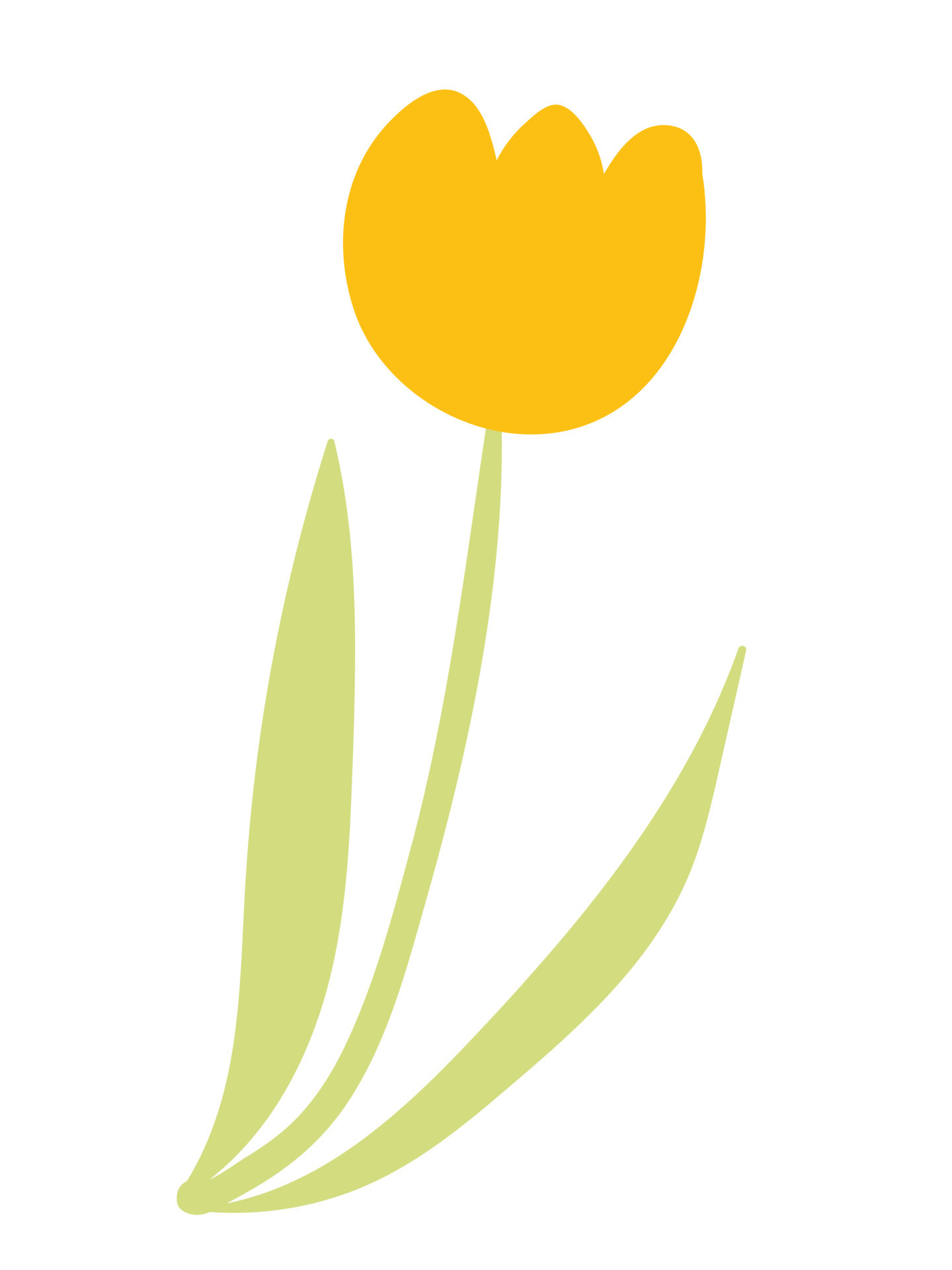 Vector tulip flower 22256712 Vector Art at Vecteezy