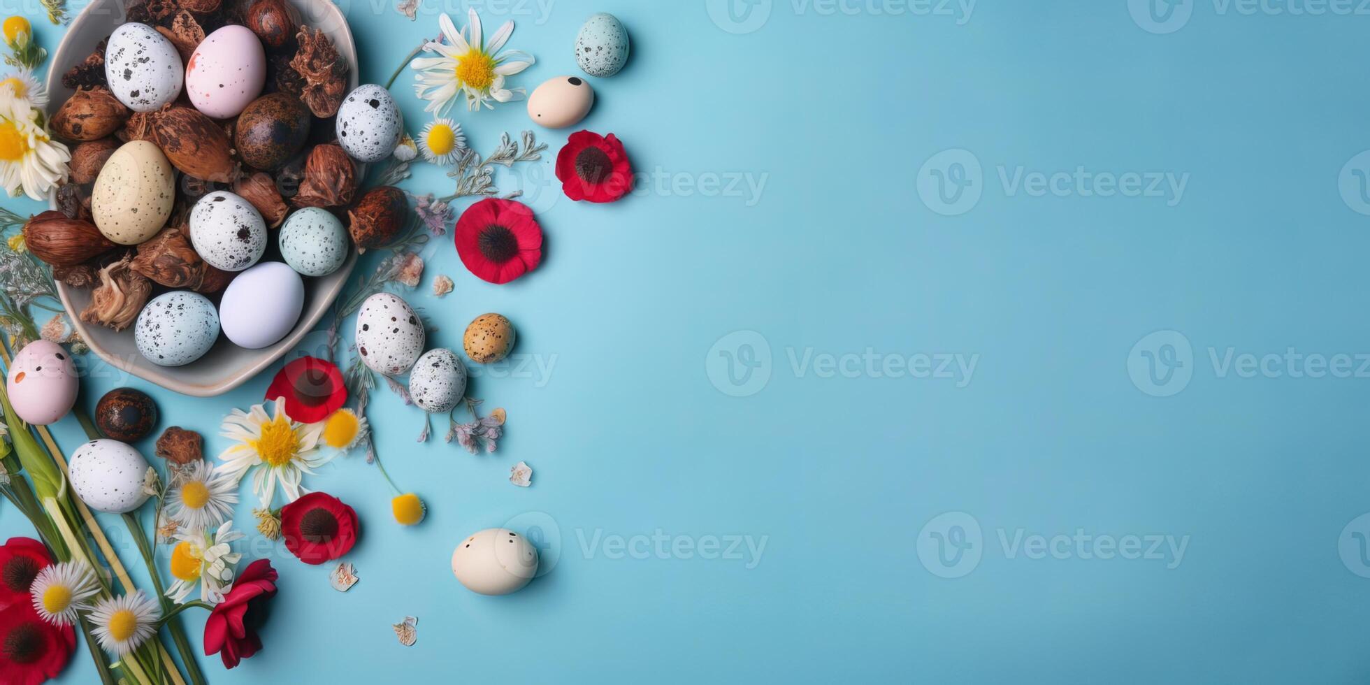 Banner of Easter quail eggs, and flowers over blue background - photo