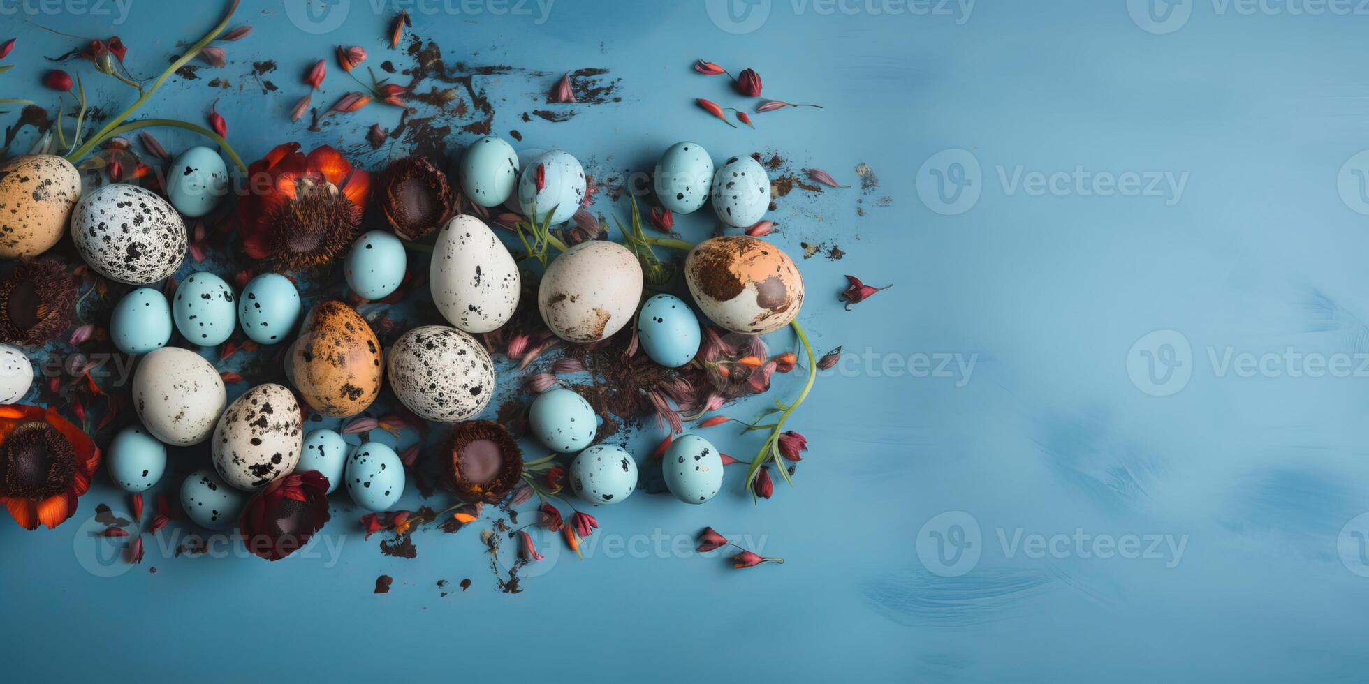 Banner of Easter quail eggs, and flowers over blue background - photo