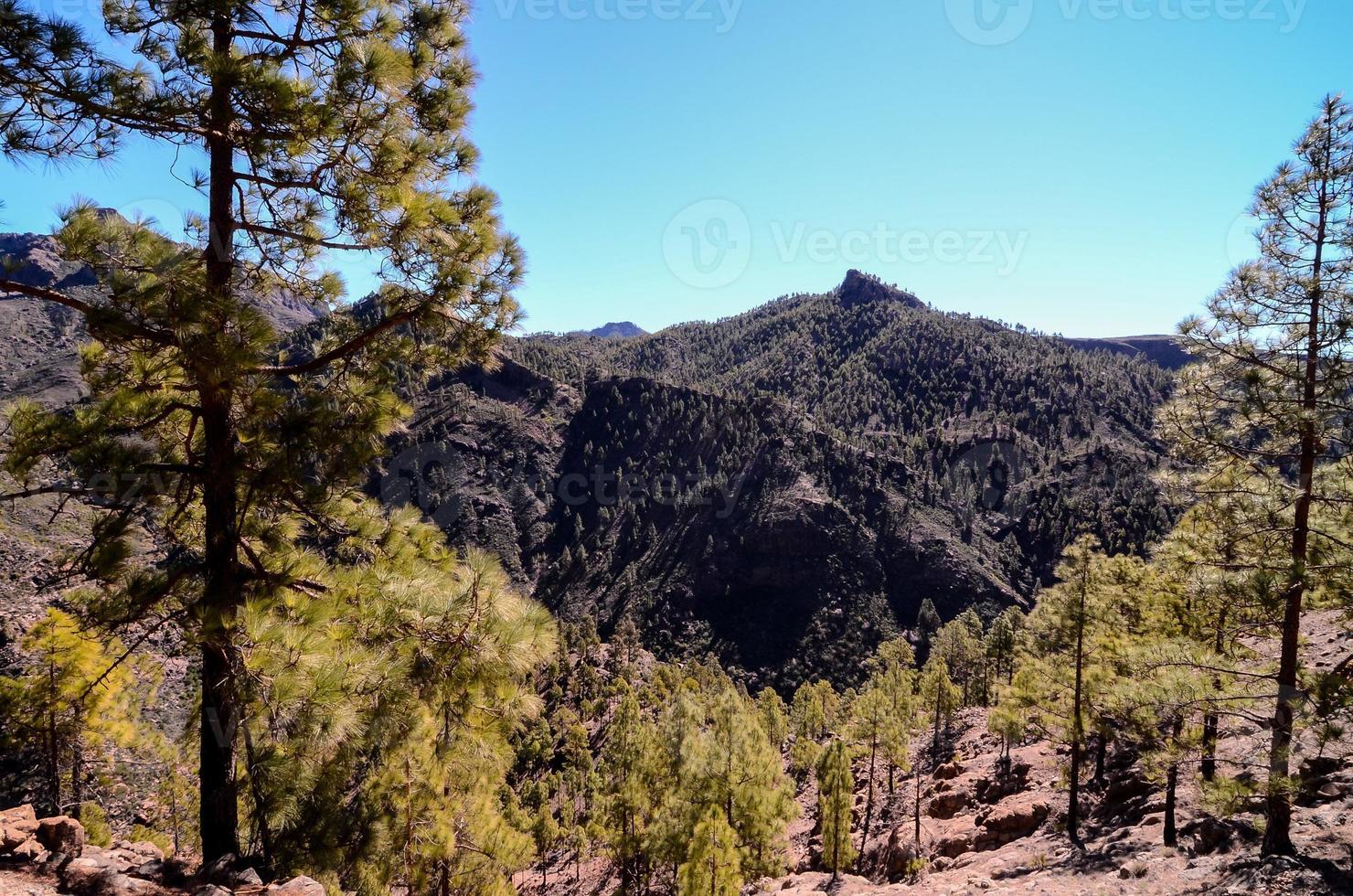 Scenic rural landscape photo