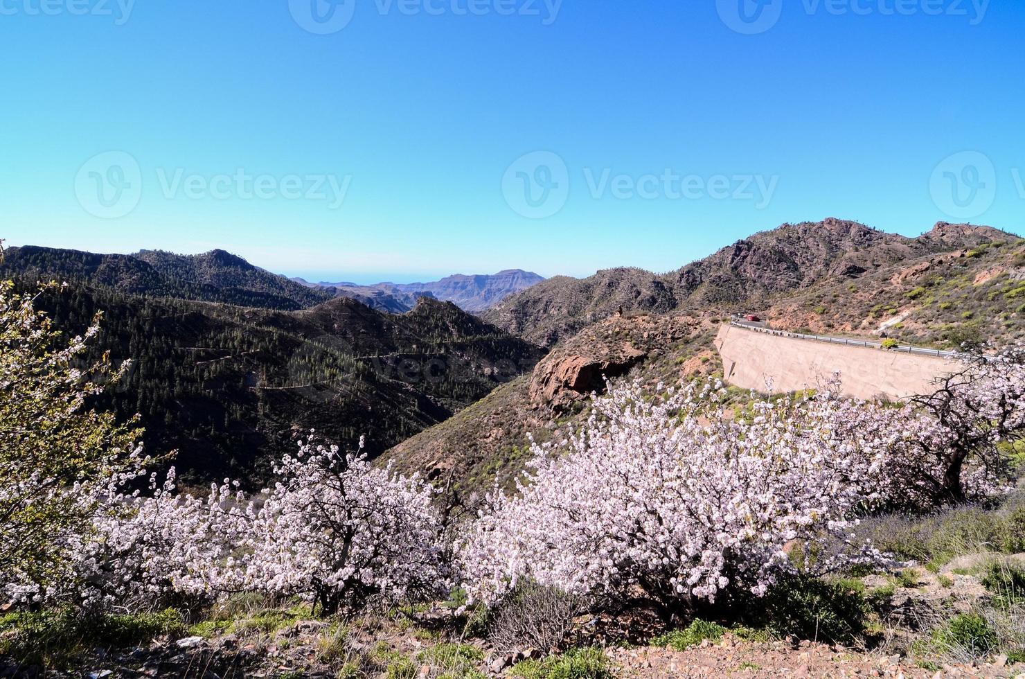 Scenic rural landscape photo