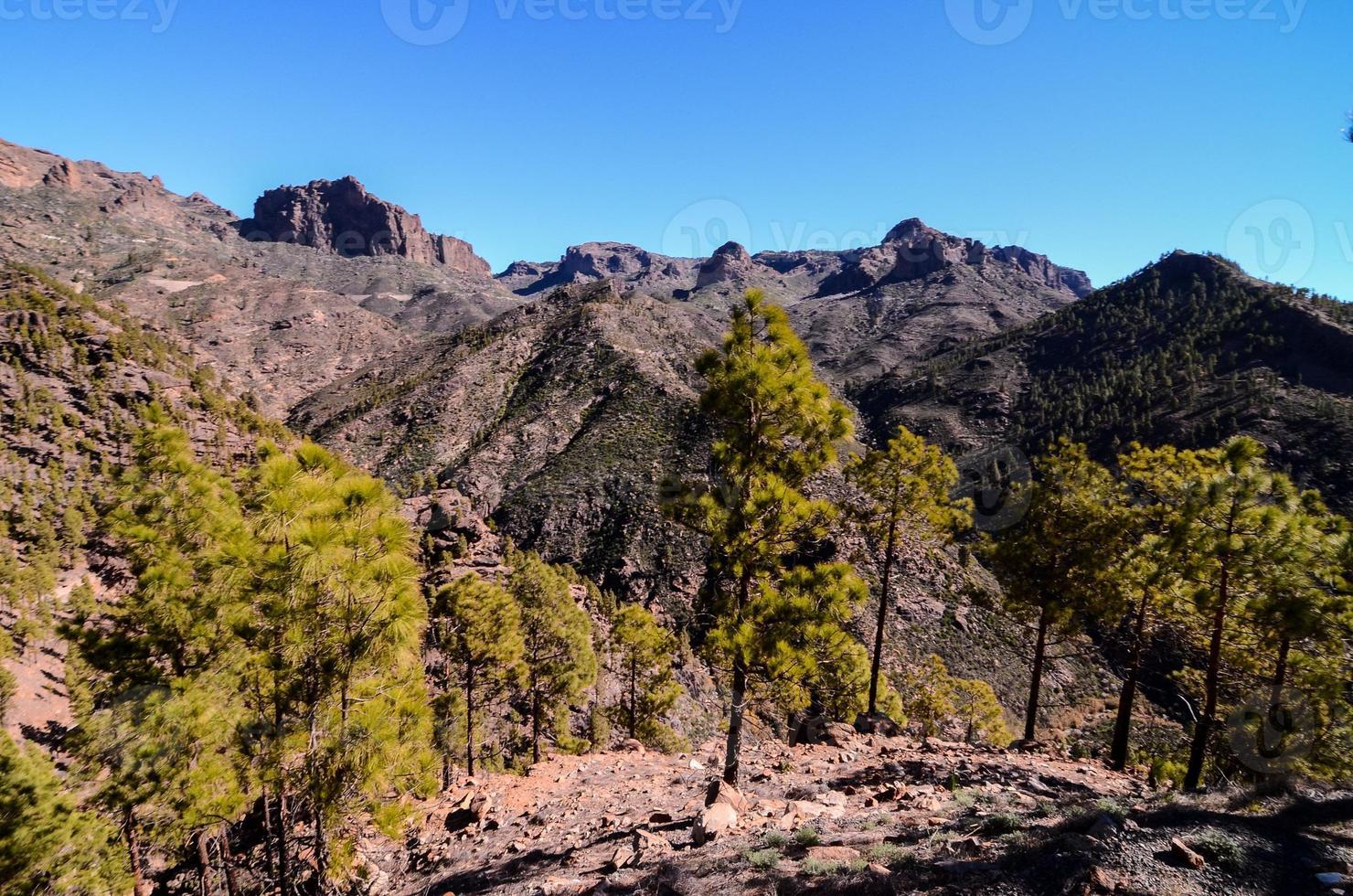 Scenic rural landscape photo