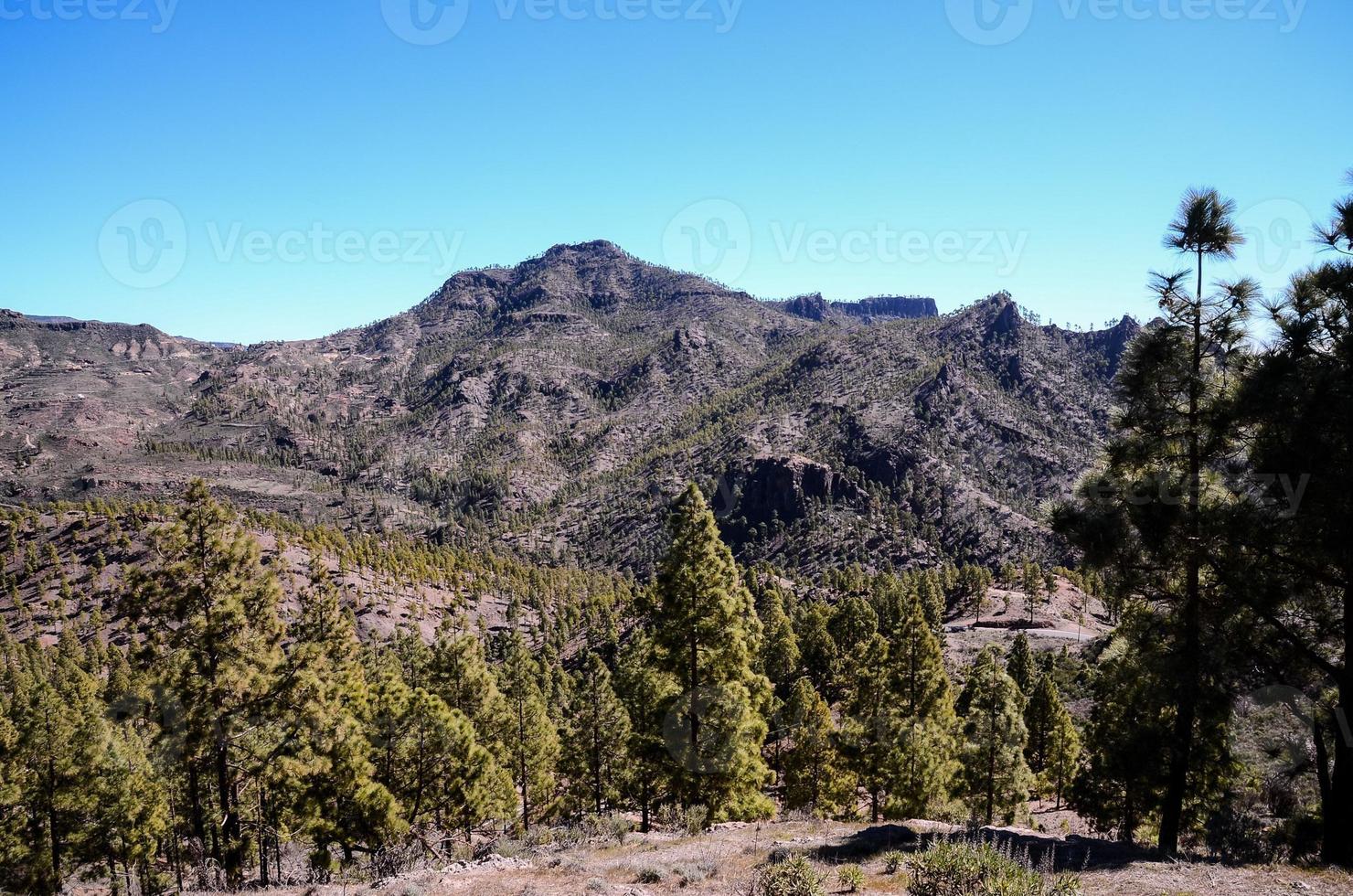 Scenic rural landscape photo