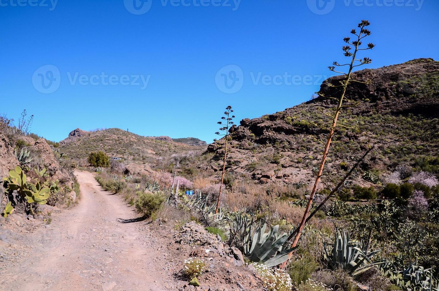 Road in the countryside photo