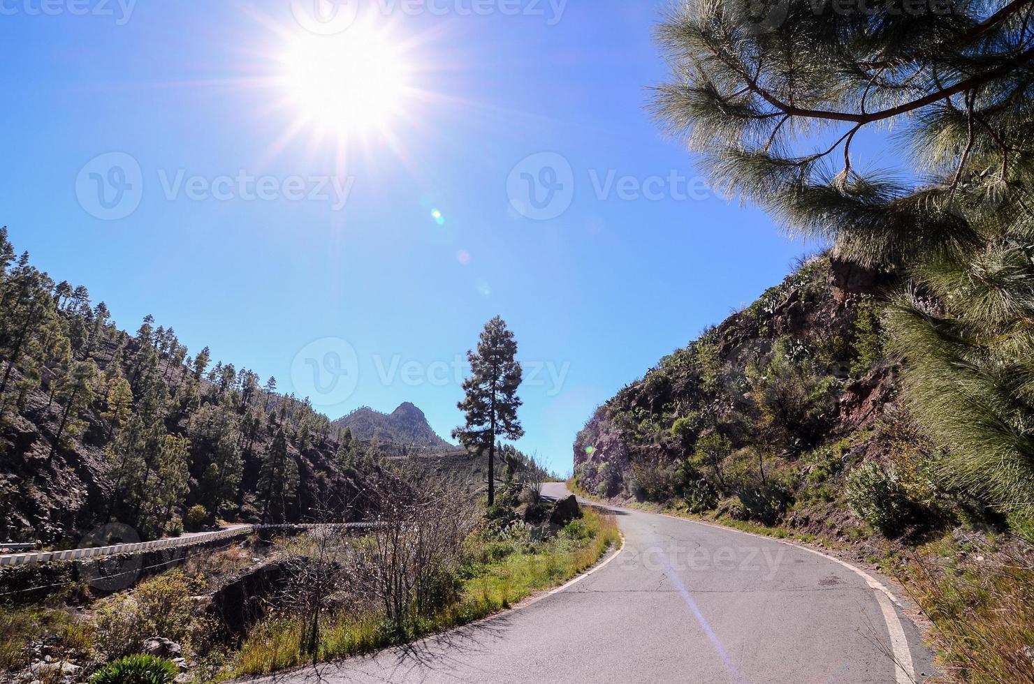 Road in the countryside photo