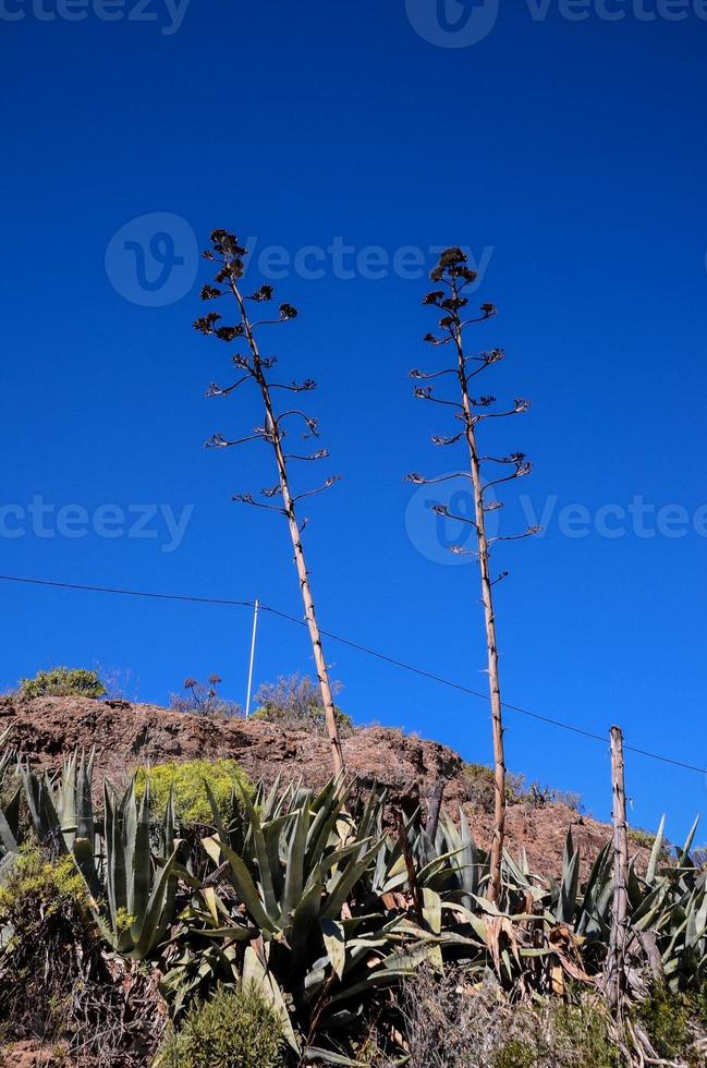 escénico rural paisaje foto