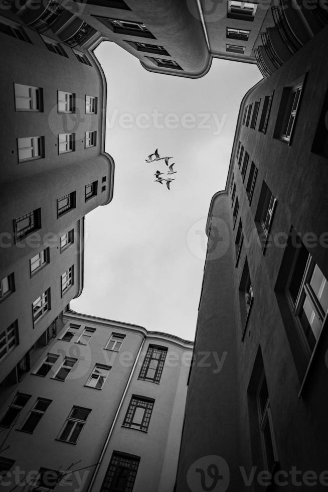 old historic warsaw in poland tenement house from the backyard photo