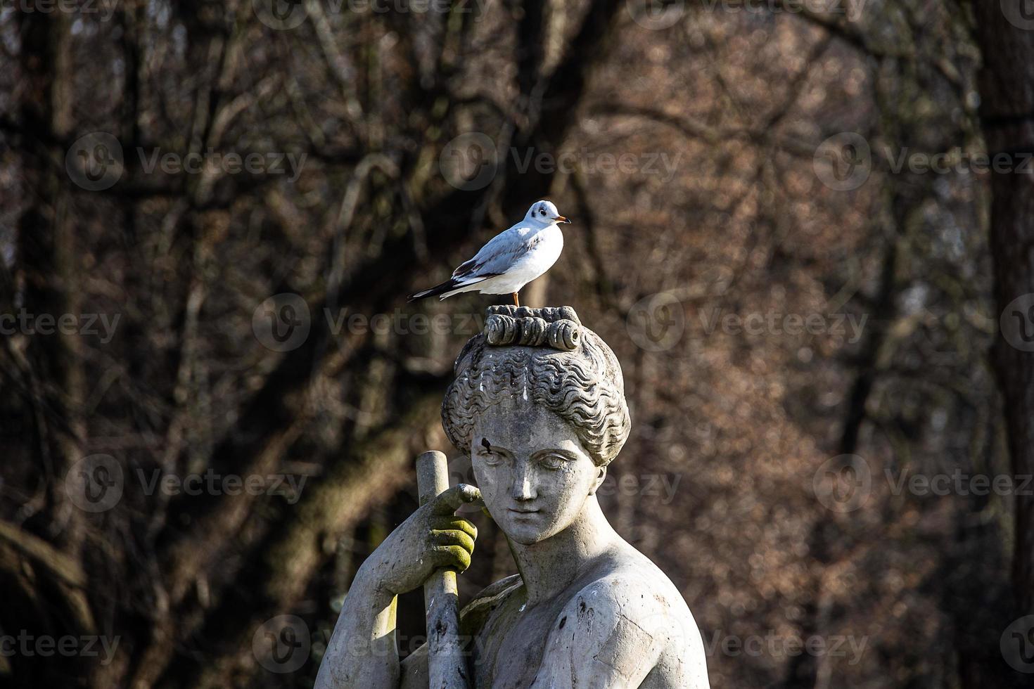 monument with a tern on the head of a statue in a historic park in warsaw on a winter day photo