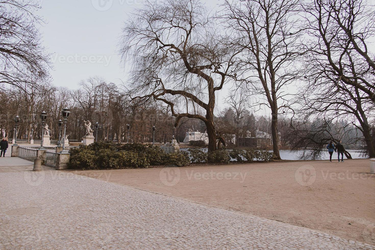 landscape from polish bathroom park in poland on a cold autumn winter day photo