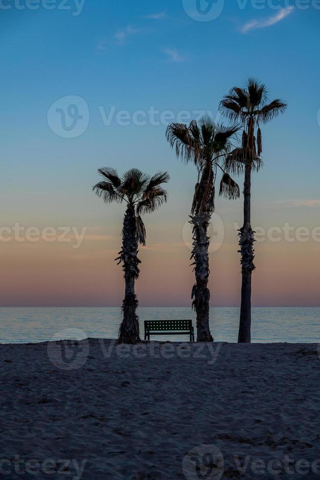 seaside landscape peace and quiet sunset and four palm trees on the beach and a bench photo