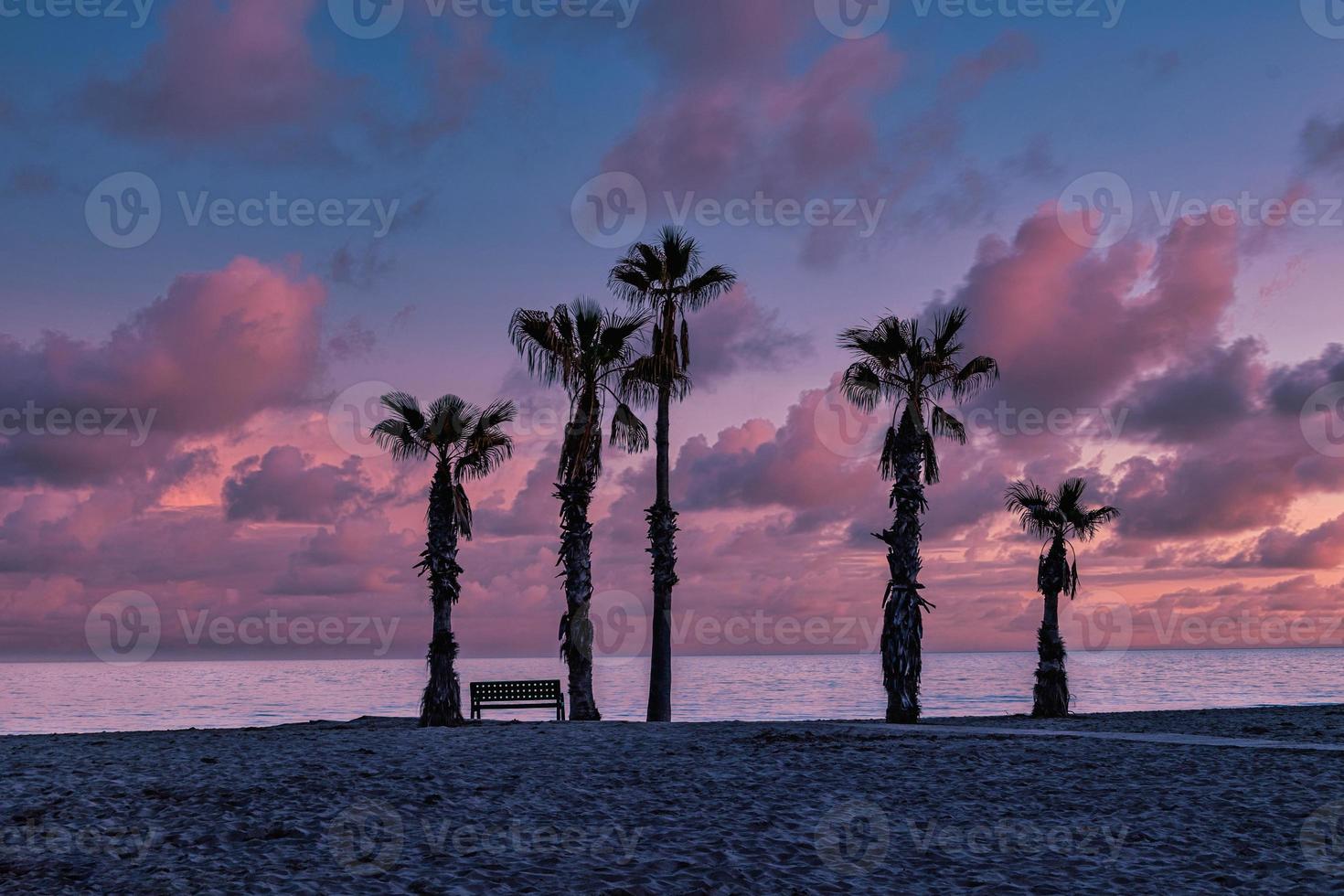 seaside landscape peace and quiet sunset and four palm trees on the beach and a bench photo